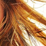 Hair Feathers