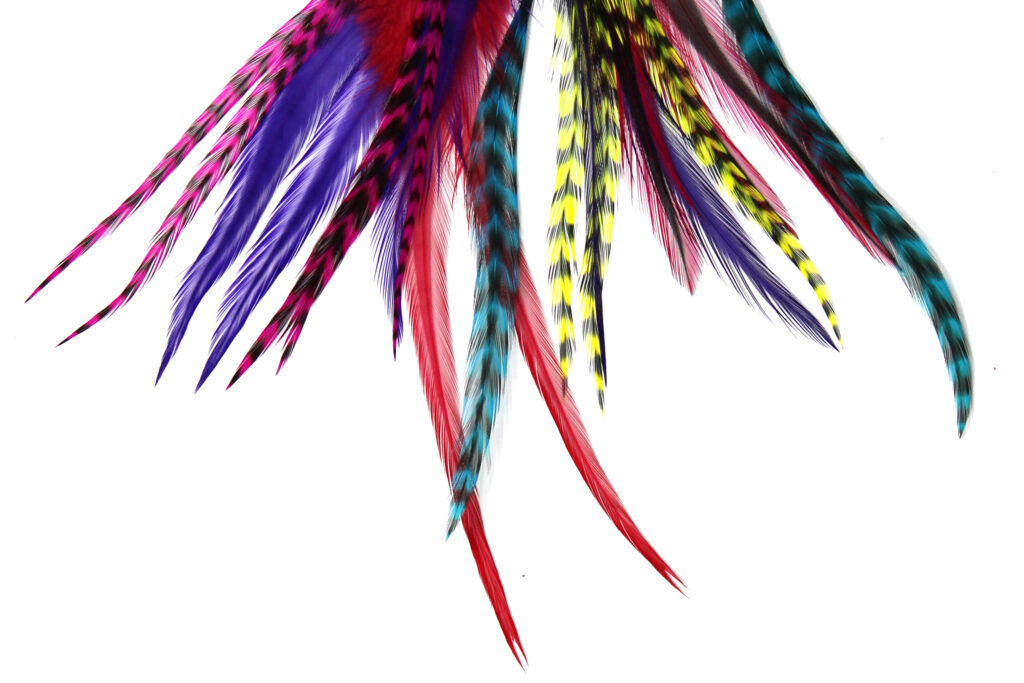 Fringe Hair Feather Pack (20 pack) Rainbow Selection