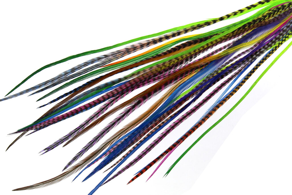 XL Packs 30 Feathers Rainbow Mix