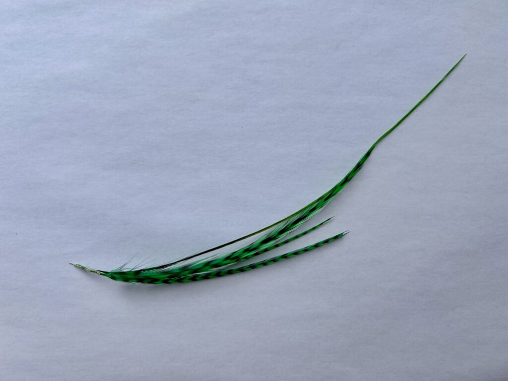 Bonded Hair Feather Extensions