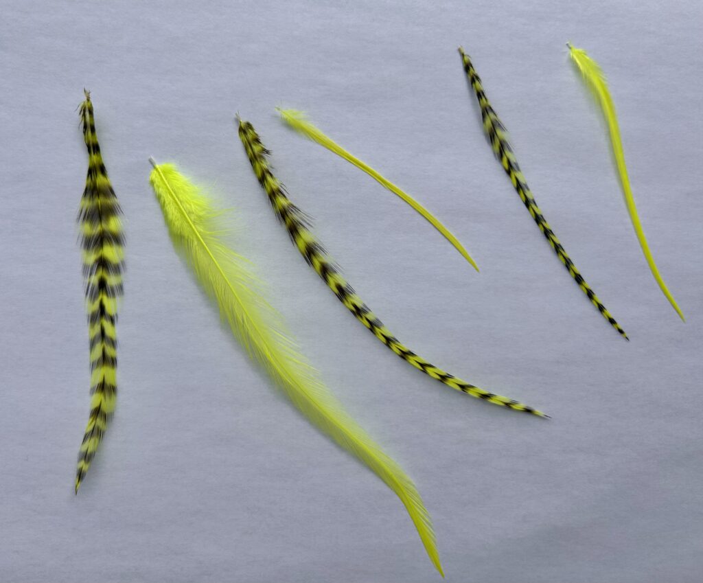 Loose Hair Feather Extensions