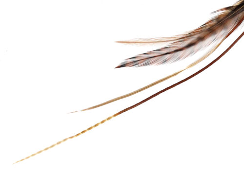 Long Loose Hair Feather Extensions