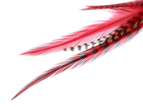 Medium Loose Hair Feather Extensions