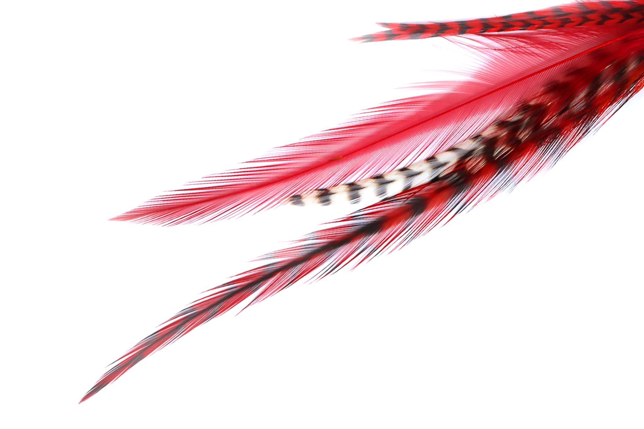Medium Red Loose Hair Feathers