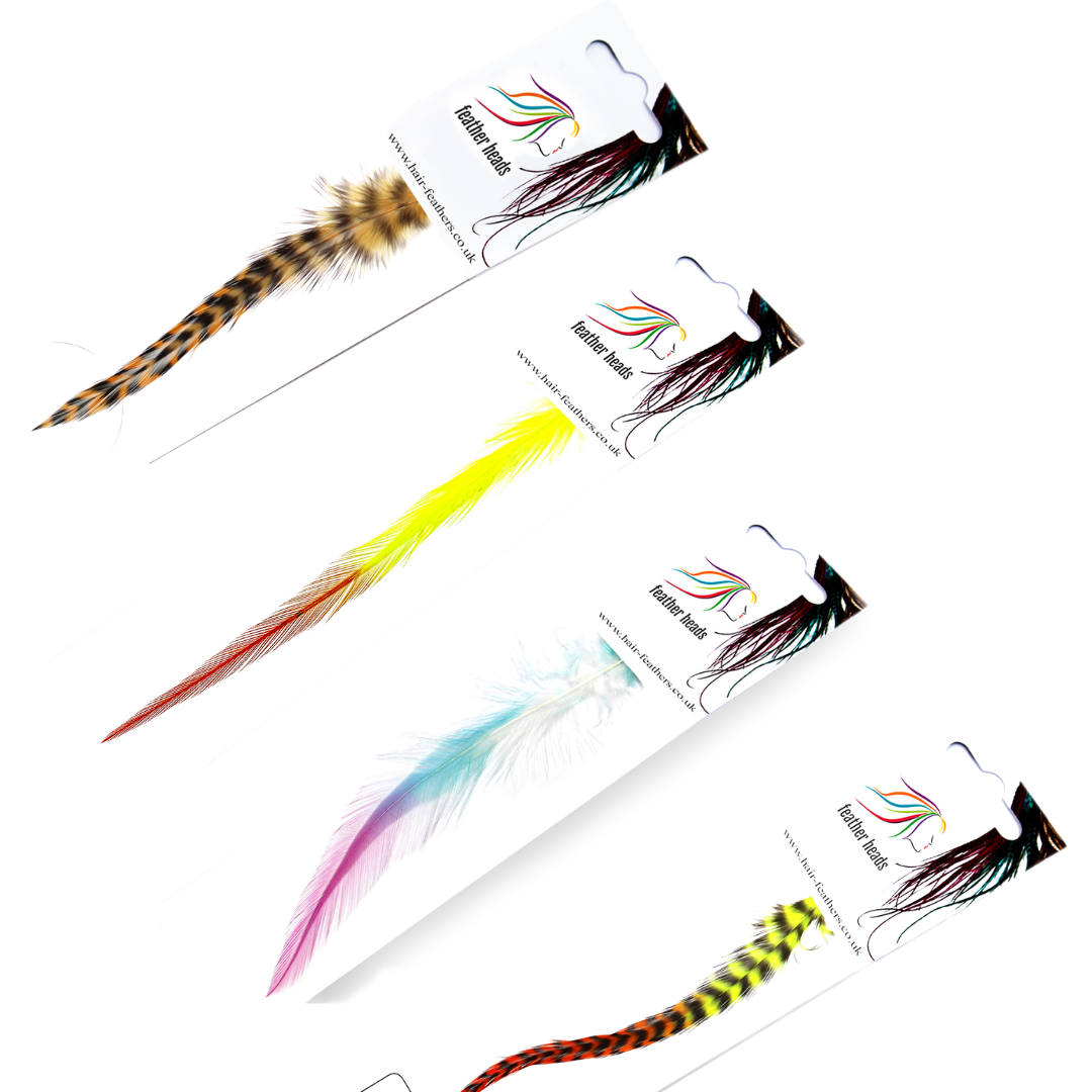 Single Small Hair Feathers Pets